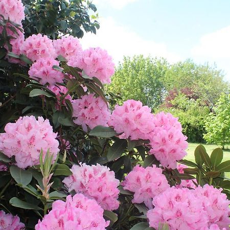 Le Clos Des Roses Saint-Règle Exteriér fotografie