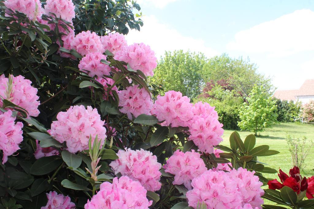 Le Clos Des Roses Saint-Règle Exteriér fotografie